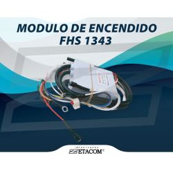 MÓDULO FHS1343